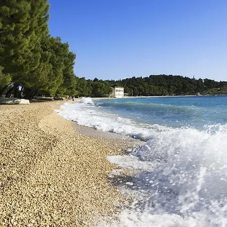 Zdravka Apartment Makarska